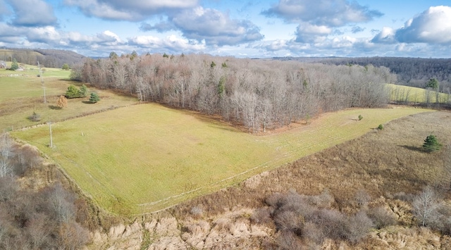 birds eye view of property featuring a rural view