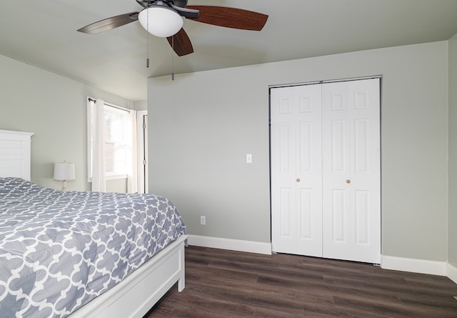 bedroom featuring ceiling fan, a closet, and dark hardwood / wood-style floors