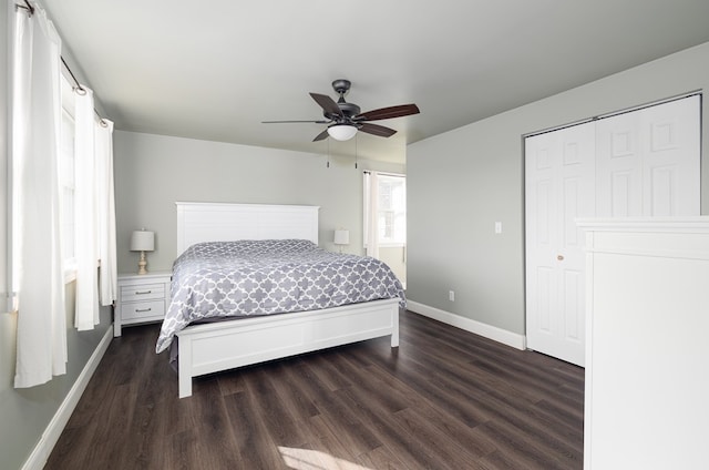 bedroom featuring a closet, dark hardwood / wood-style floors, and ceiling fan