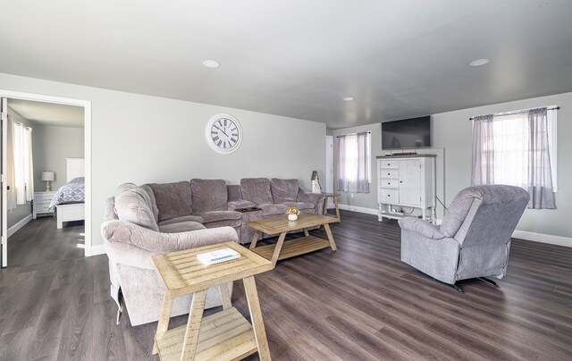 living room featuring dark wood-type flooring