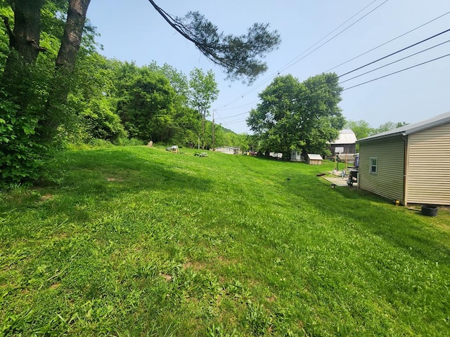 145 Tracy Brewer Rd, Meshoppen, PA 18630 - view of grassy yard