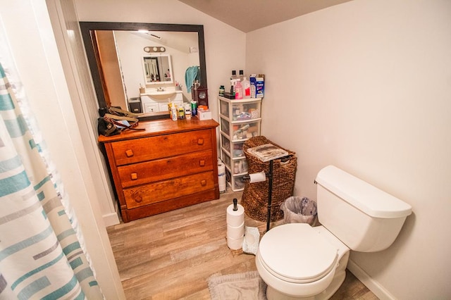 145 Tracy Brewer Rd, Meshoppen, PA 18630 - full bath with wood finished floors, toilet, lofted ceiling, curtained shower, and vanity