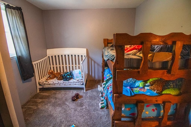 145 Tracy Brewer Rd, Meshoppen, PA 18630 - view of carpeted bedroom