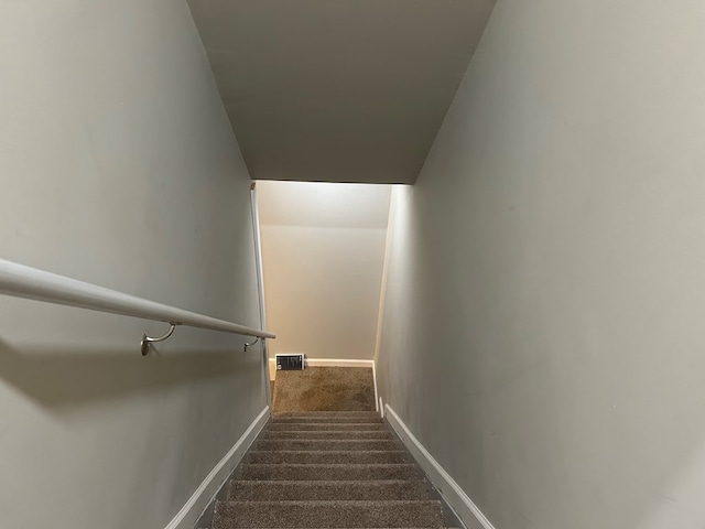 staircase featuring carpet floors