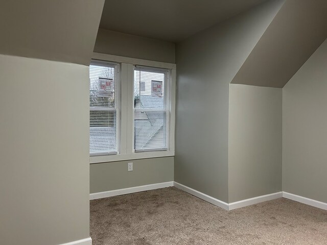 additional living space with light carpet