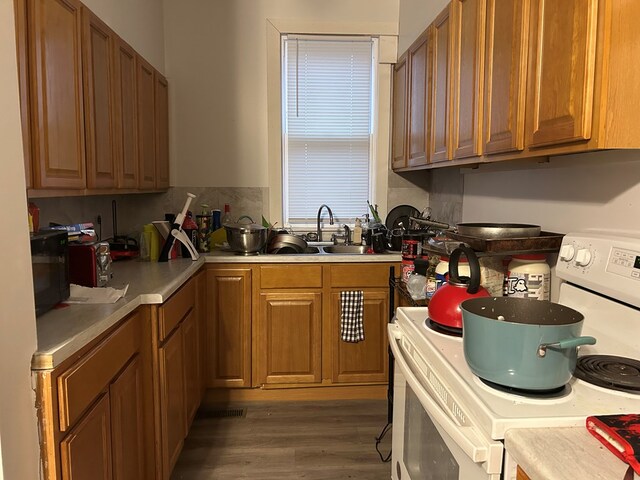 kitchen featuring electric stove, dark hardwood / wood-style flooring, and sink