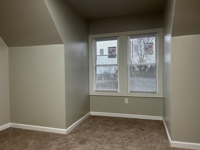 interior space with carpet