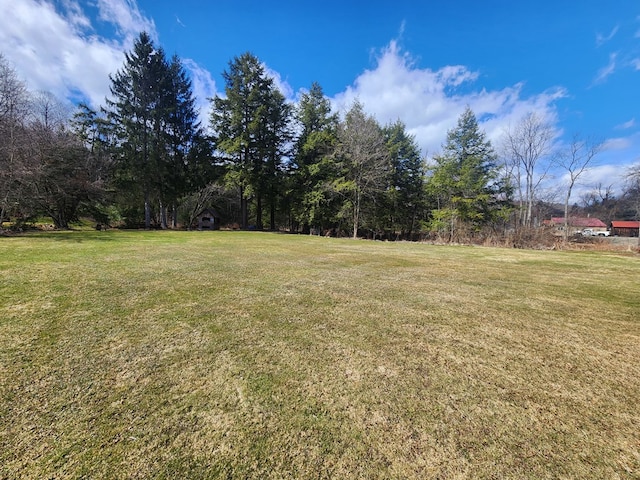130 Cherry Springs Rd, Coudersport, PA 16915 - view of yard