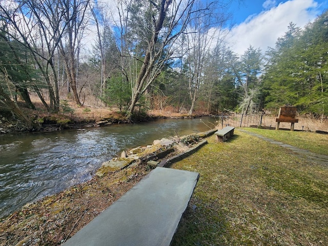 130 Cherry Springs Rd, Coudersport, PA 16915 - view of yard with a wooded view
