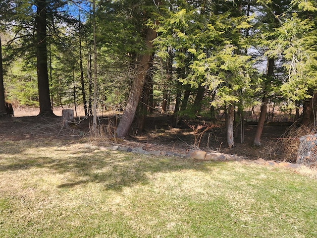 130 Cherry Springs Rd, Coudersport, PA 16915 - view of yard