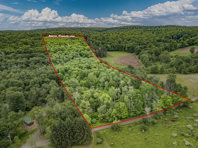 0 Cinder Hill Rd, Ulysses PA, 16948 land for sale