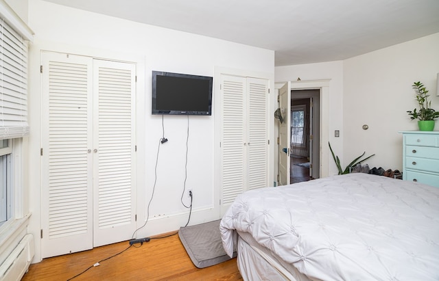 bedroom featuring wood-type flooring and two closets