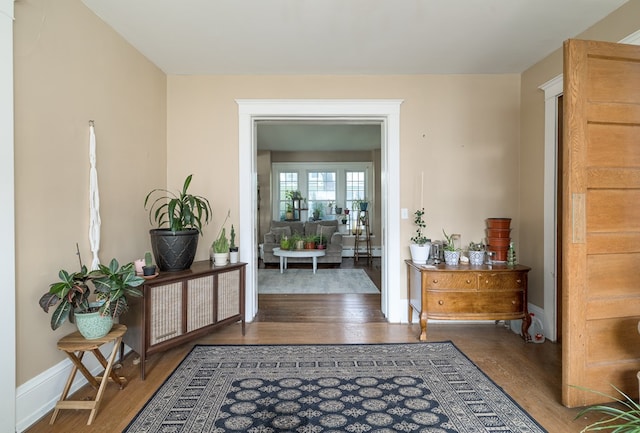 interior space with dark hardwood / wood-style flooring