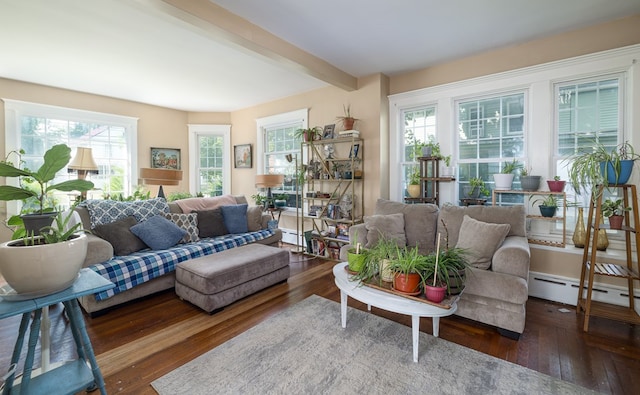 living room featuring beam ceiling, dark hardwood / wood-style flooring, a wealth of natural light, and a baseboard heating unit