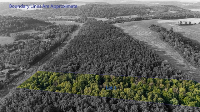 0-LOT3 Buena Vista St, Wellsboro, PA 16901 - photo 3