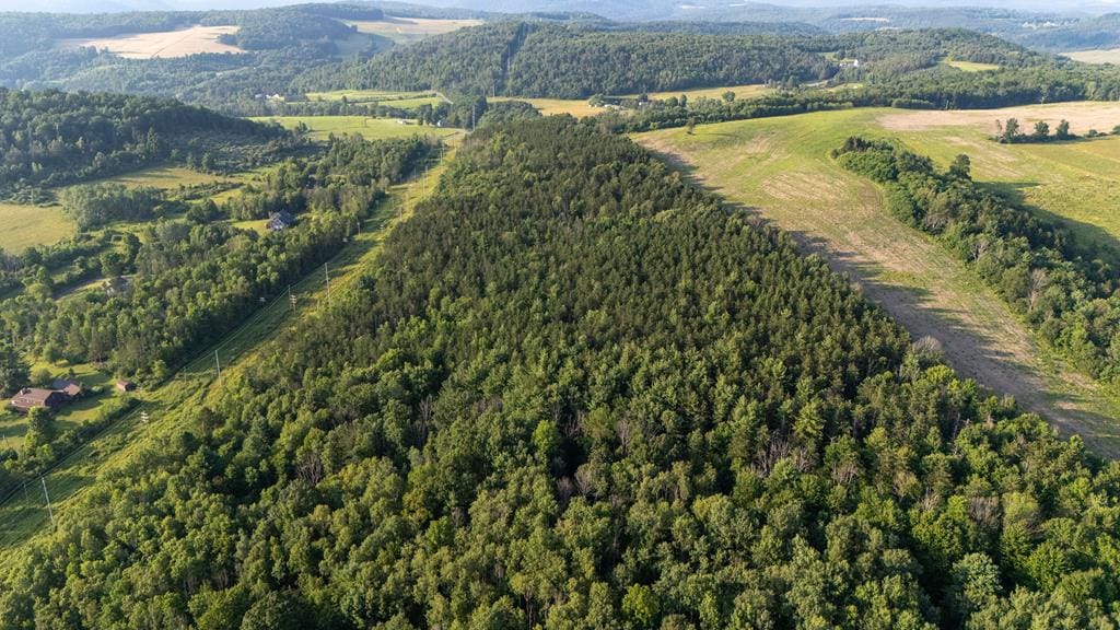 0-LOT3 Buena Vista St, Wellsboro, PA 16901 - photo 1