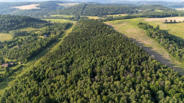 0-LOT3 Buena Vista St, Wellsboro, PA 16901 - photo 1