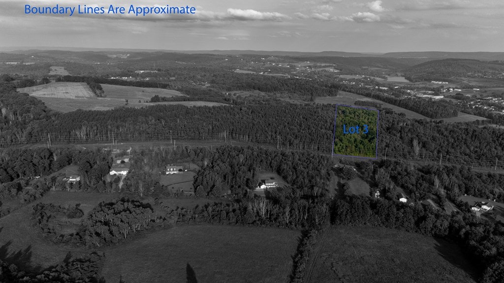0-LOT3 Buena Vista St, Wellsboro, PA 16901 - photo 2