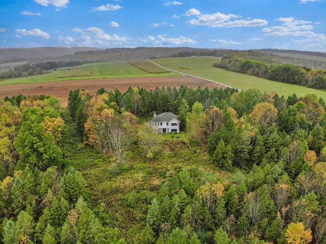 drone / aerial view with a rural view