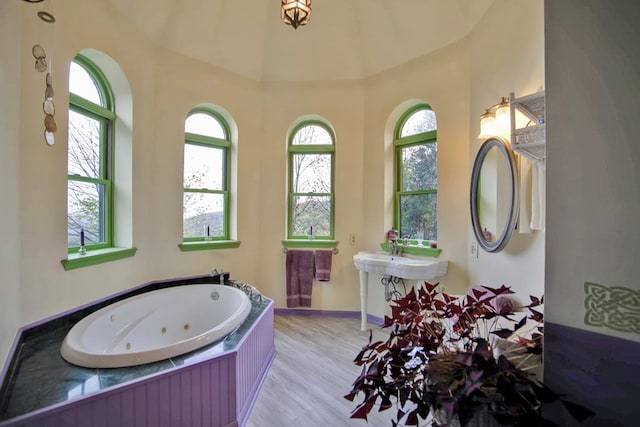 bathroom featuring a washtub, hardwood / wood-style flooring, and a healthy amount of sunlight