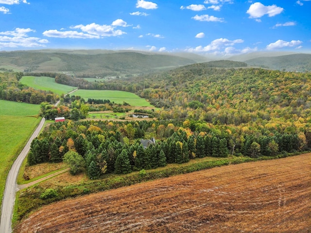 view of mountain feature with a rural view