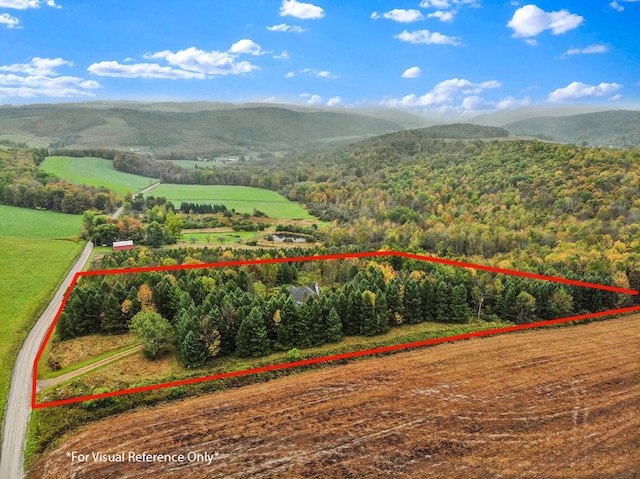 birds eye view of property featuring a mountain view and a rural view