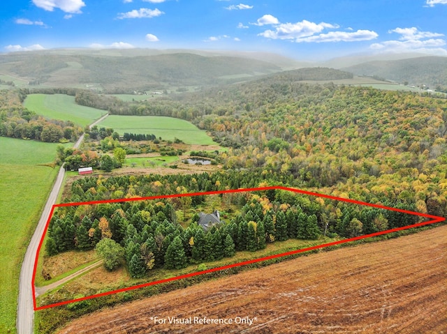 drone / aerial view with a mountain view and a rural view