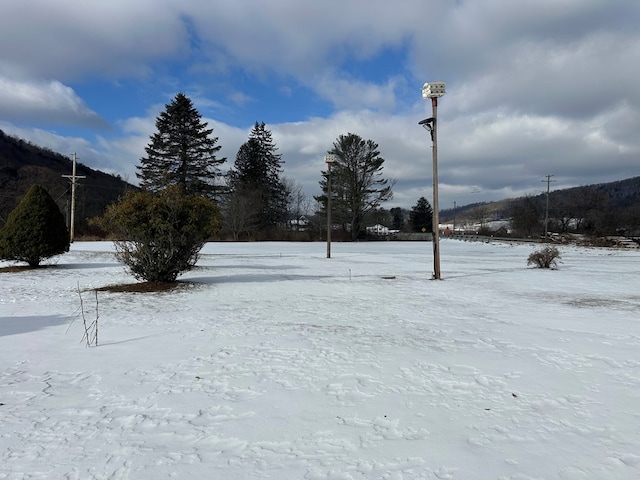 view of yard covered in snow