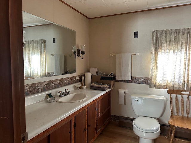 bathroom featuring hardwood / wood-style flooring, vanity, and toilet