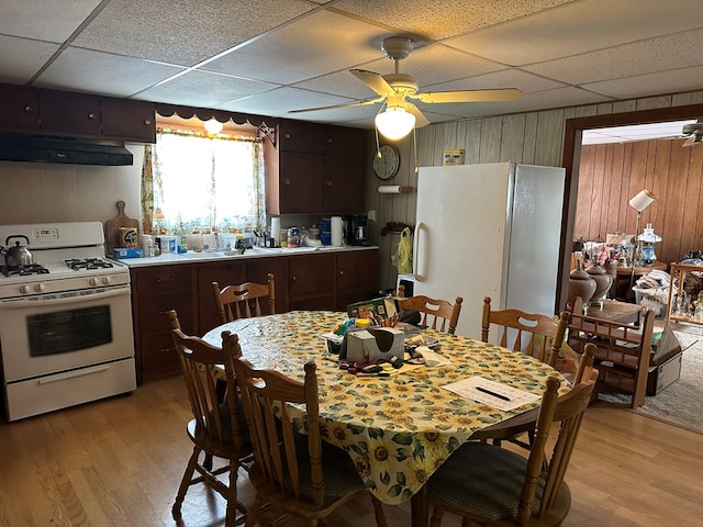 kitchen with dark brown cabinets, white appliances, light hardwood / wood-style floors, and a paneled ceiling