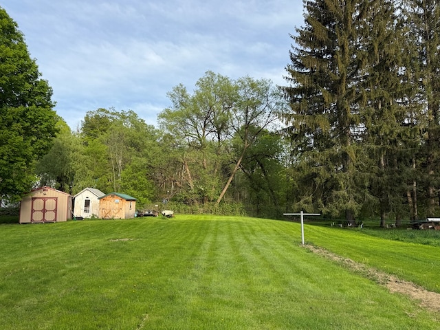 213 2nd St, Harrison Valley, PA 16927 - view of green lawn