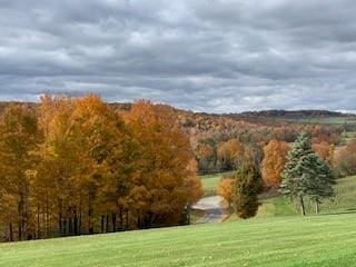179 Cemetery Hill Rd, Ulster, PA 18850 - photo 56