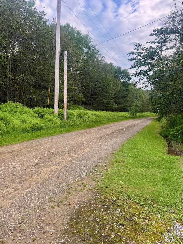 3306 Alabama Trl, Coudersport, PA 16915 - photo 35