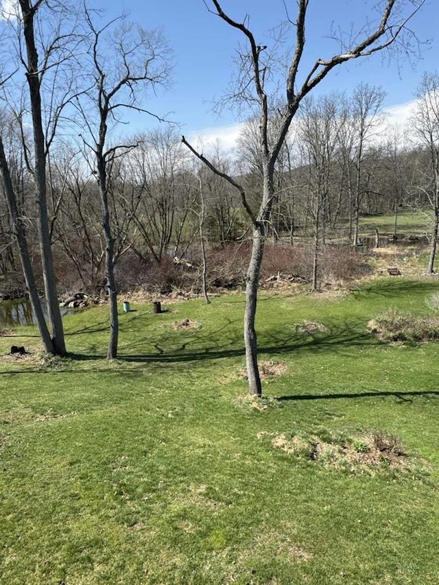 408 W Honeoye St, Shinglehouse, PA 16748 - view of green lawn