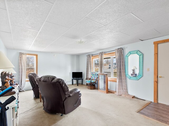 room details featuring wood walls