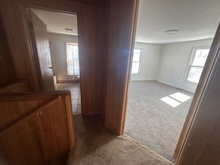 hallway featuring carpet