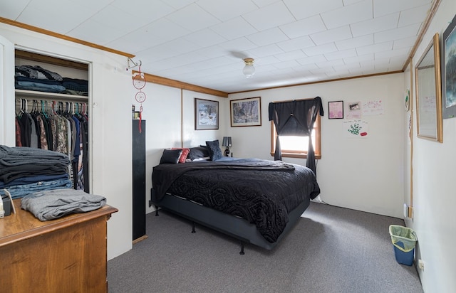 carpeted bedroom with ornamental molding and a closet