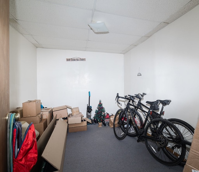 miscellaneous room with carpet flooring and a drop ceiling