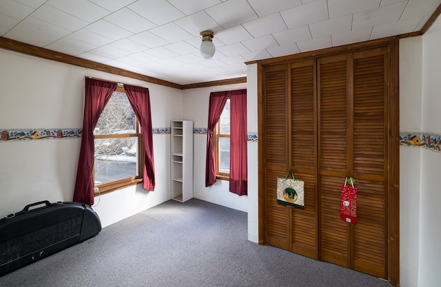 interior space featuring carpet flooring, a healthy amount of sunlight, and crown molding