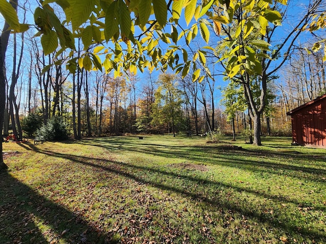 view of yard