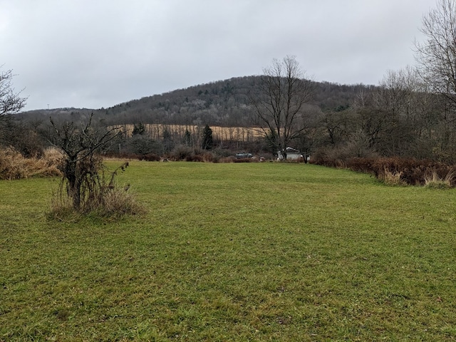 2703 Phoenix Run Rd, Sabinsville, PA 16943 - view of green lawn with a view of rural / pastoral area and a mountain view