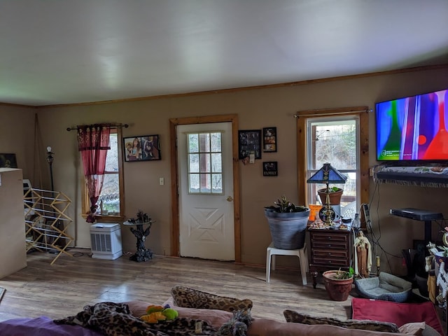 living room featuring hardwood / wood-style flooring