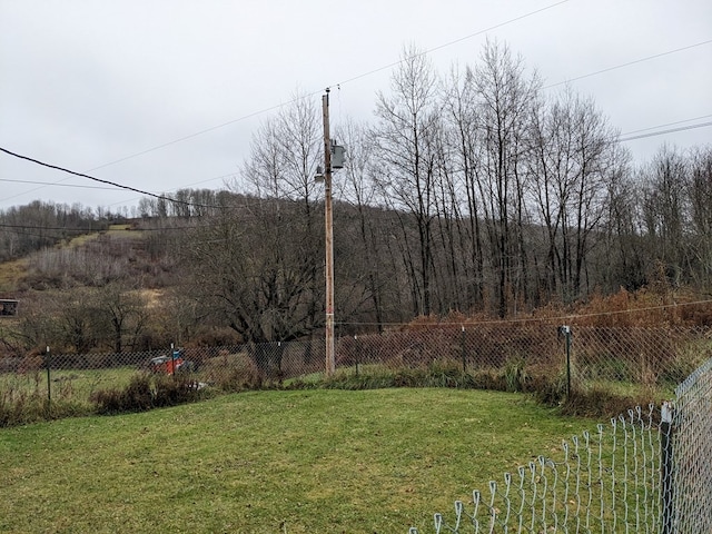 2703 Phoenix Run Rd, Sabinsville, PA 16943 - view of yard
