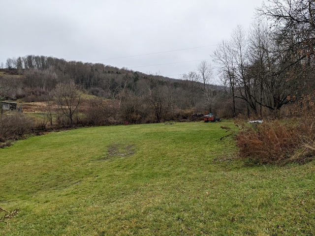 2703 Phoenix Run Rd, Sabinsville, PA 16943 - view of green lawn