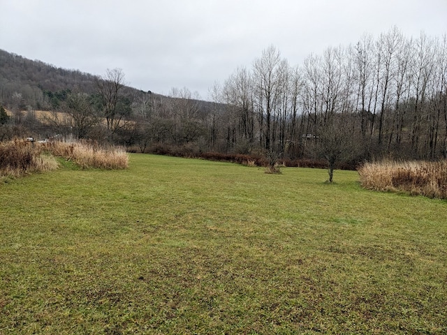 2703 Phoenix Run Rd, Sabinsville, PA 16943 - view of green lawn