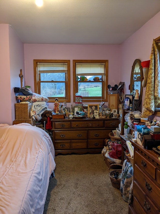 2703 Phoenix Run Rd, Sabinsville, PA 16943 - view of carpeted bedroom