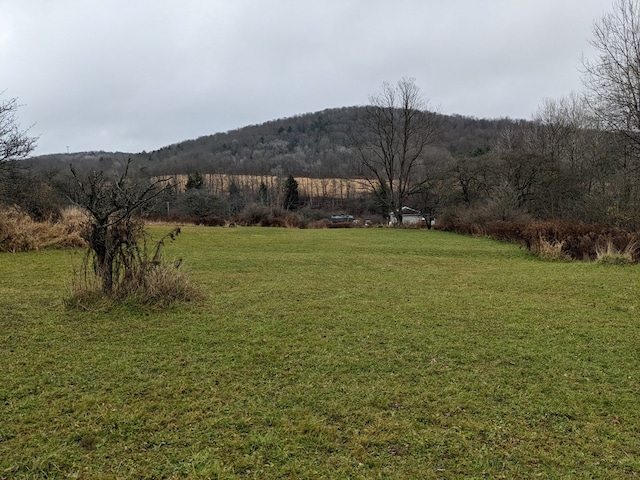 view of yard with a rural view