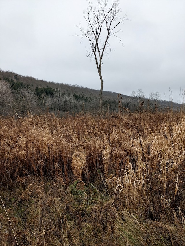 view of nature featuring a rural view