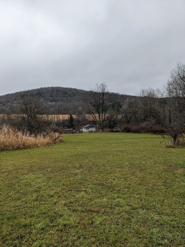 view of yard featuring a rural view