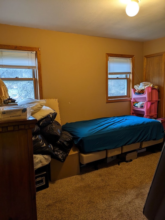 bedroom with carpet flooring